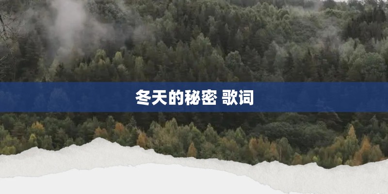 冬天的秘密 歌词