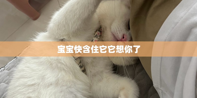 有什么好看的韩剧、动漫？