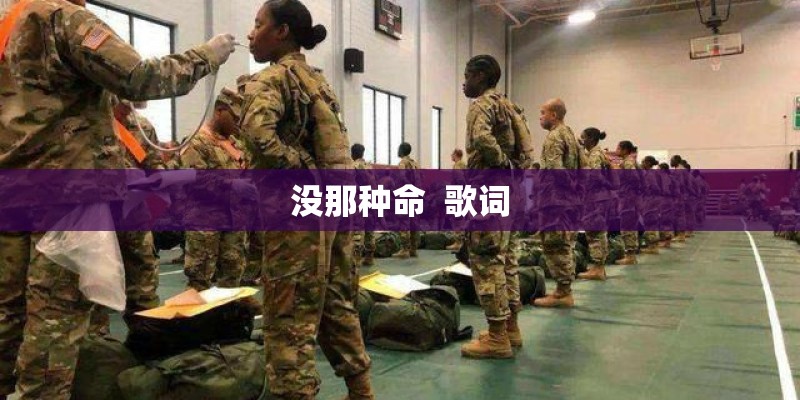 没那种命  歌词