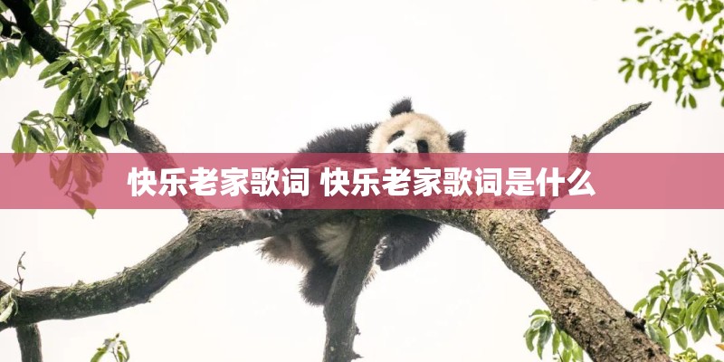 快乐老家歌词 快乐老家歌词是什么