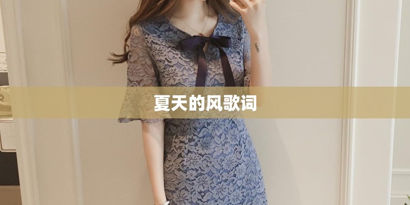 夏天的风歌词