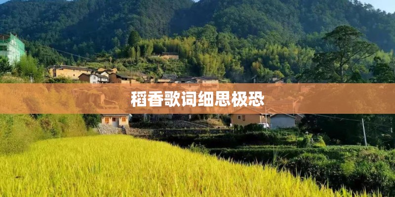 夏天的风歌词