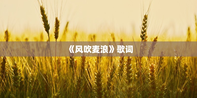《风吹麦浪》歌词