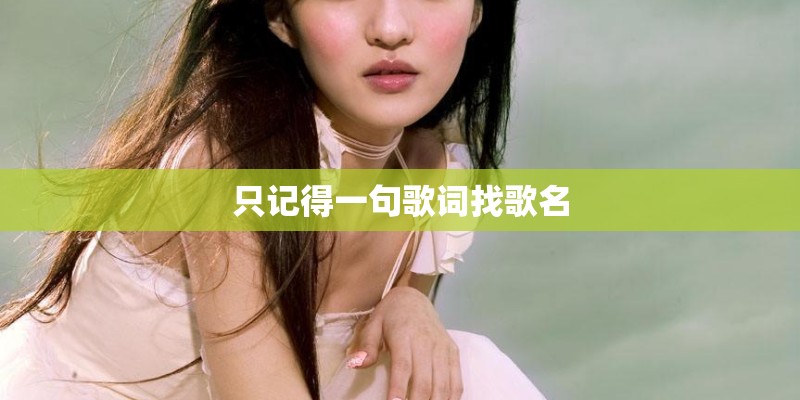 只记得一句歌词找歌名
