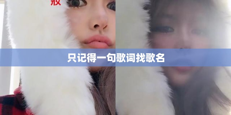 只记得一句歌词找歌名
