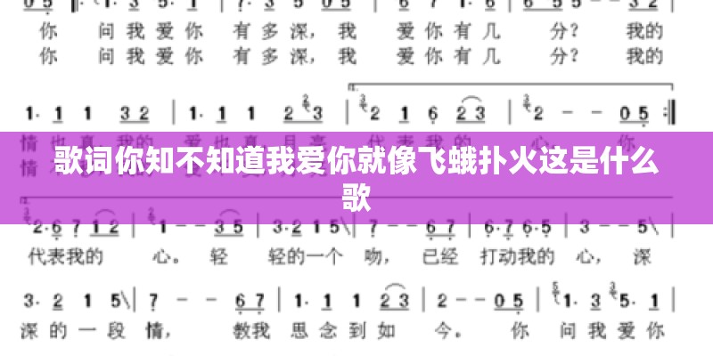 歌词你知不知道我爱你就像飞蛾扑火这是什么歌