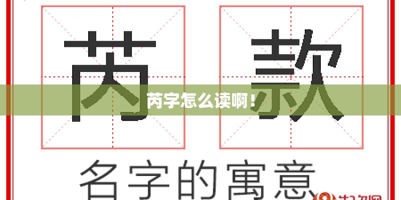 芮字怎么读啊！