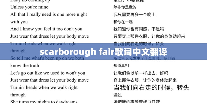 交谊舞曲大全的内容简介