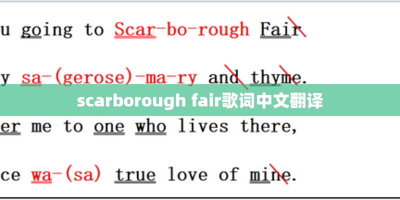 scarborough fair歌词中文翻译