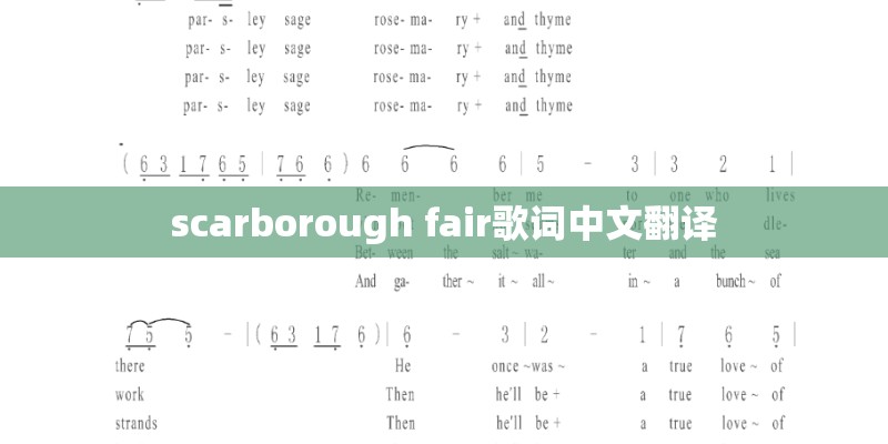 scarborough fair歌词中文翻译