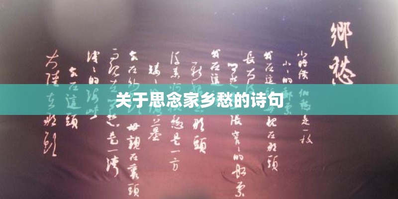 婚姻测试会不会离婚塔罗牌测试