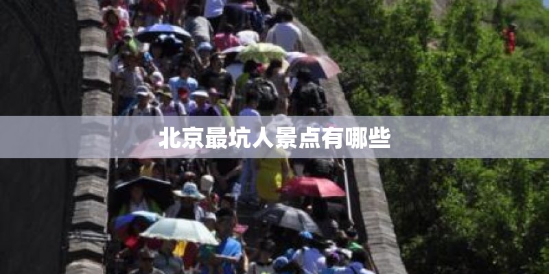 合适幼儿园里面放的歌曲推荐