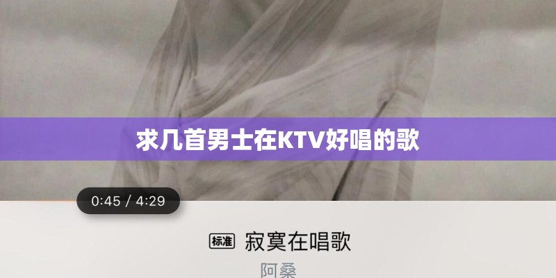 求几首男士在KTV好唱的歌