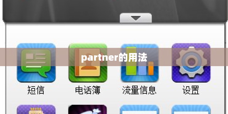 partner的用法