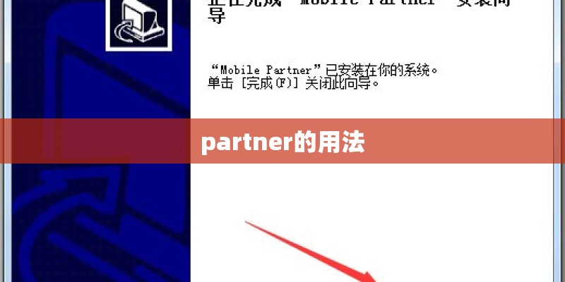 partner的用法