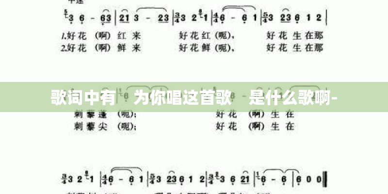 歌词中有　为你唱这首歌　是什么歌啊-