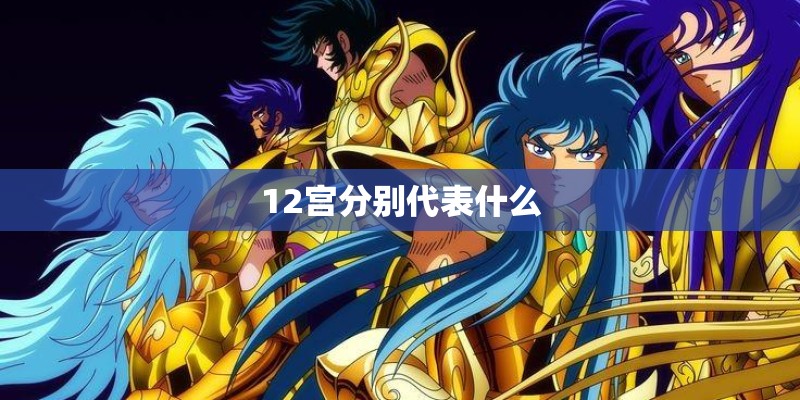 12宫分别代表什么