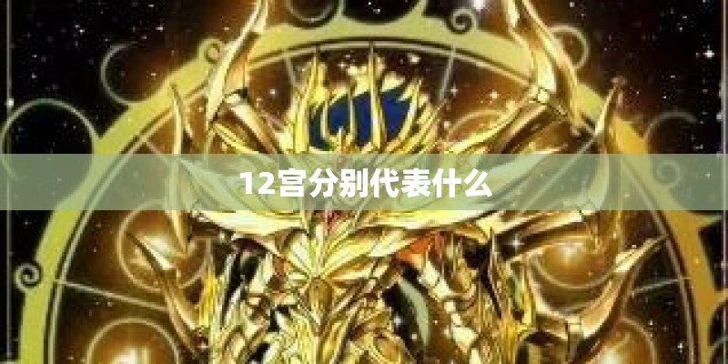 12宫分别代表什么