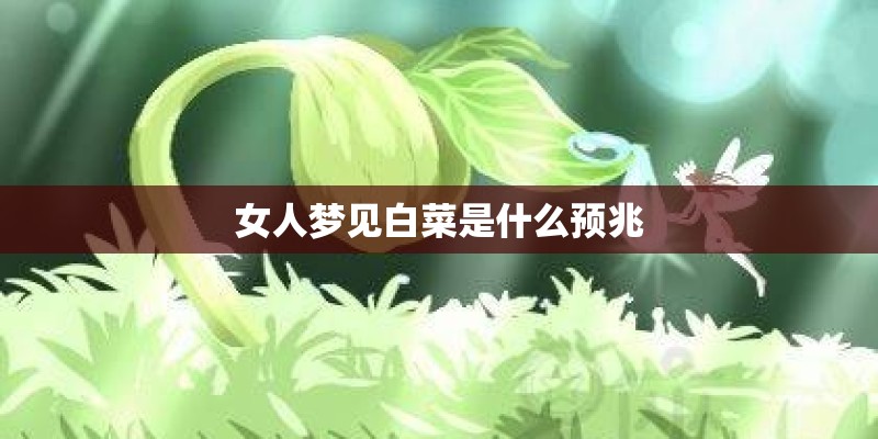 女人梦见白菜是什么预兆