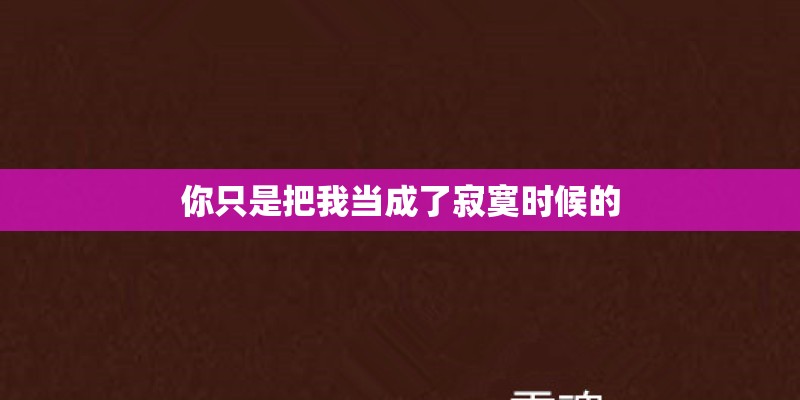 你只是把我当成了寂寞时候的