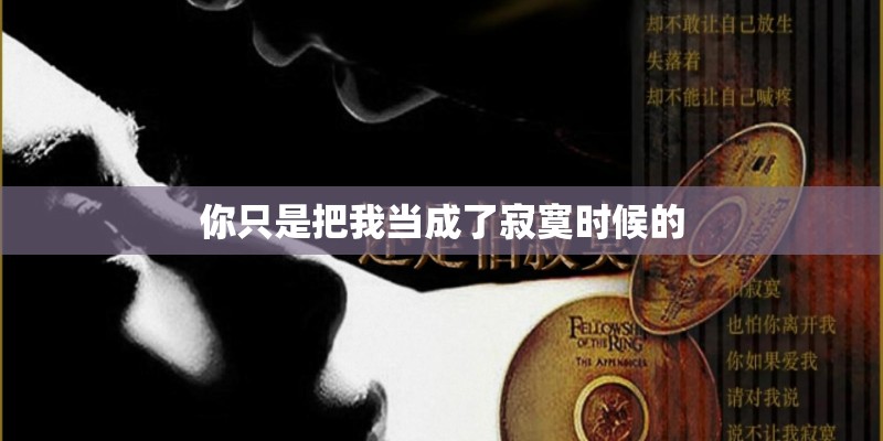 你只是把我当成了寂寞时候的