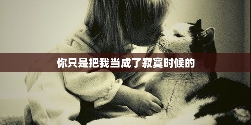 你只是把我当成了寂寞时候的