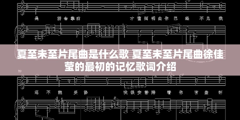 你只是把我当成了寂寞时候的