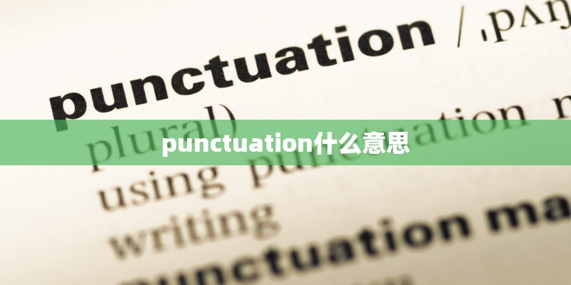 punctuation什么意思
