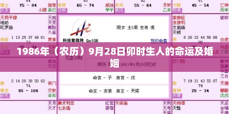 1986年（农历）9月28日卯时生人的命运及婚姻
