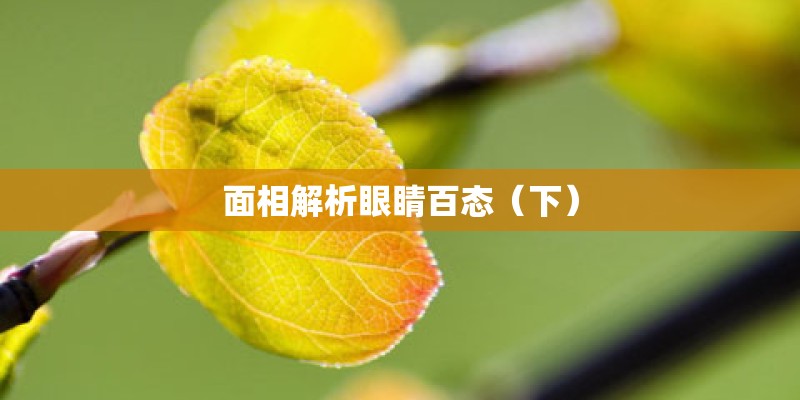 面相解析眼睛百态（下）