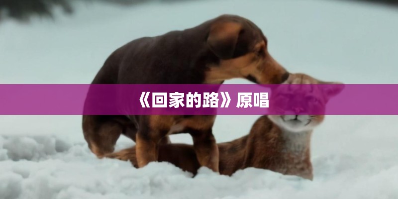 evidence是可数名词还是不可数名词