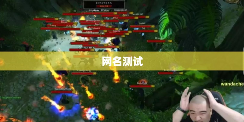 网名测试
