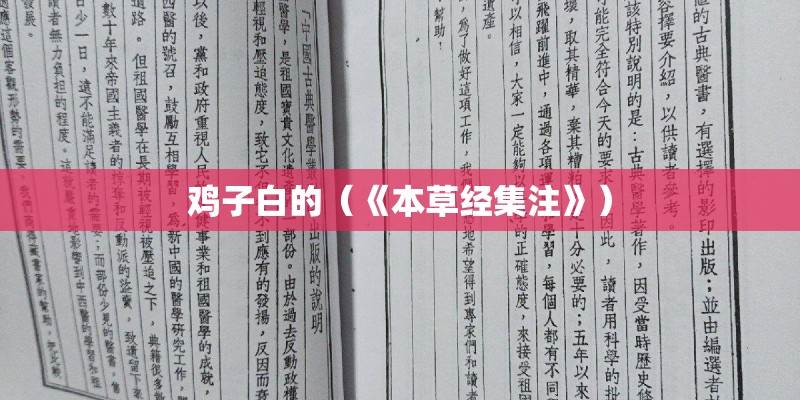 鸡子白的（《本草经集注》）