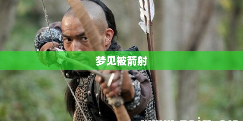 梦见被箭射