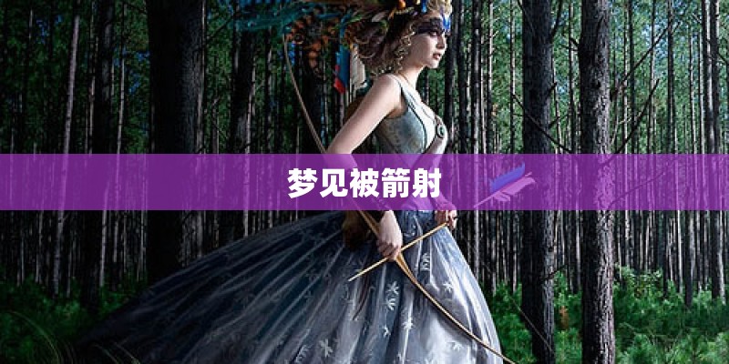 梦见被箭射