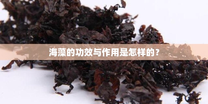 海藻的功效与作用是怎样的？