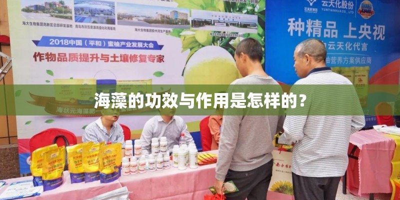 海藻的功效与作用是怎样的？