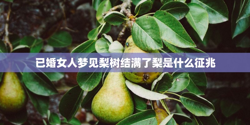 已婚女人梦见梨树结满了梨是什么征兆