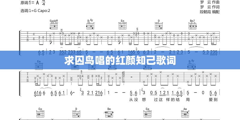 求《上海一九四三》歌词