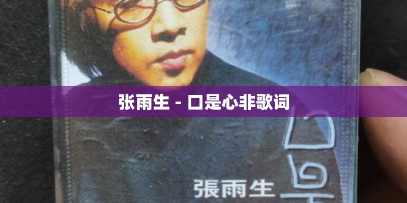 张雨生 - 口是心非歌词