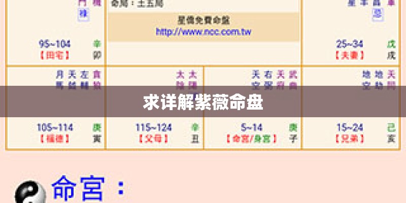 张雨生 - 口是心非歌词