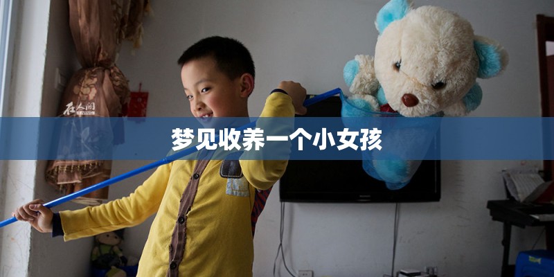 梦见收养一个小女孩