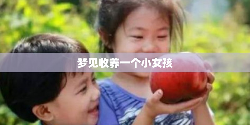 梦见收养一个小女孩