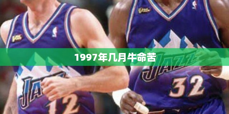 1997年几月牛命苦