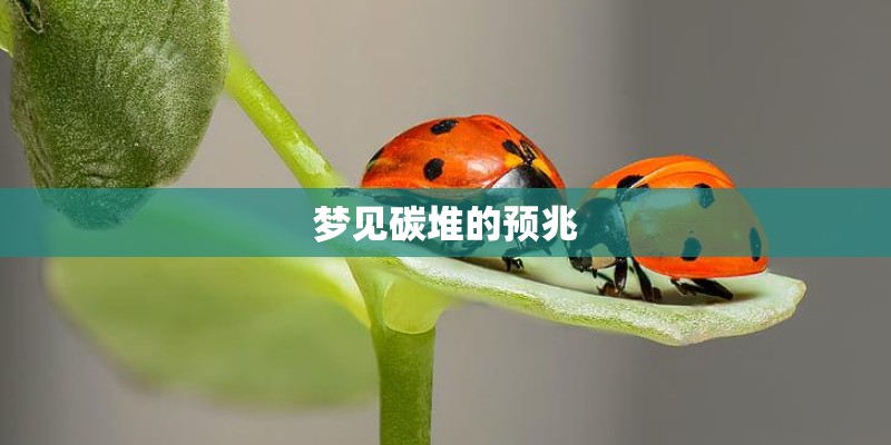 梦见碳堆的预兆