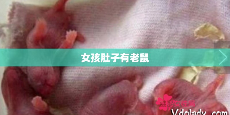 百度收录好一点的论坛有哪些