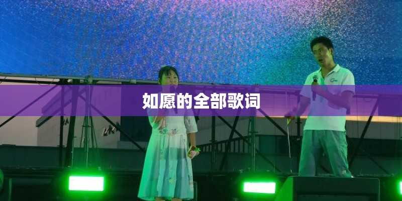 如愿的全部歌词 如愿的全部歌词