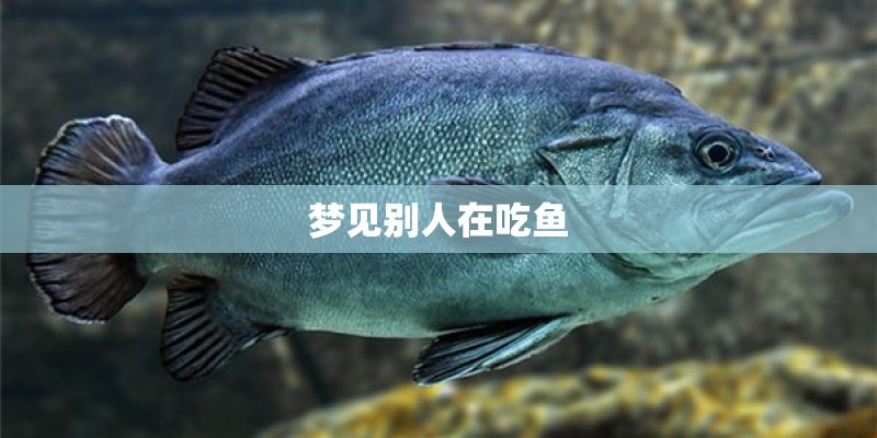 24号感恩节是什么意思