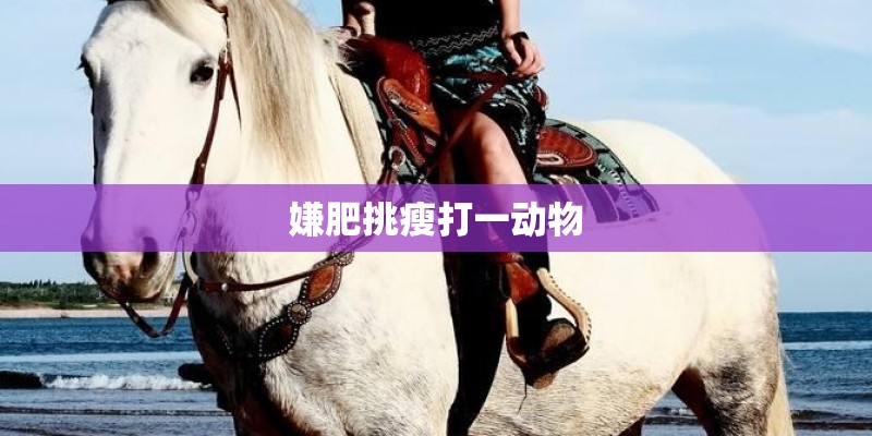 嫌肥挑瘦打一动物 嫌肥挑瘦打一动物