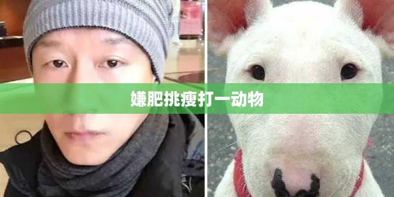 嫌肥挑瘦打一动物 嫌肥挑瘦打一动物